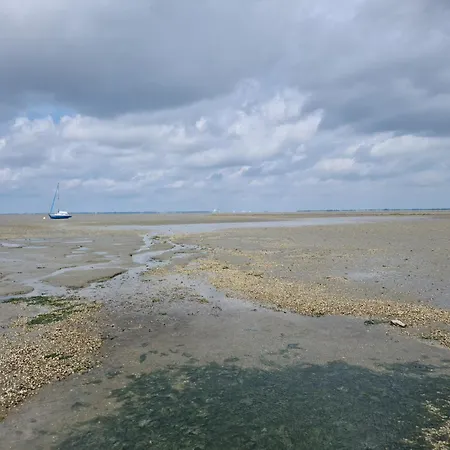 Haus Pudelwohl - Hundefreundliches An Der Nordseekueste Feriehus *