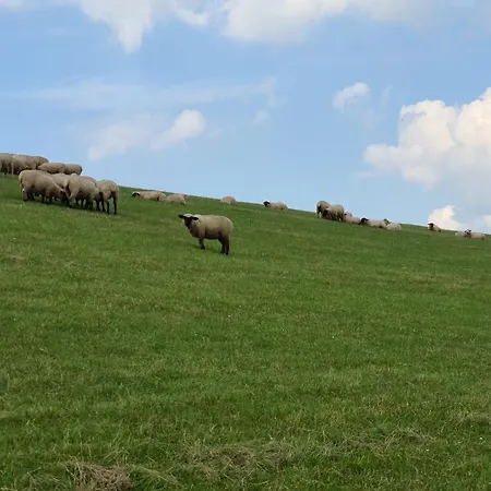Haus Pudelwohl - Hundefreundliches An Der Nordseekueste
