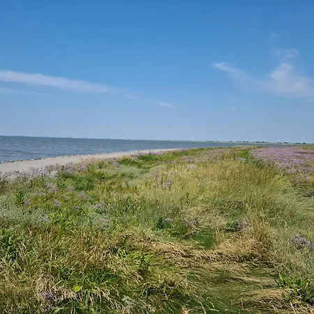 Haus Pudelwohl - Hundefreundliches An Der Nordseekueste Sehestedt (Lower-Saxony)