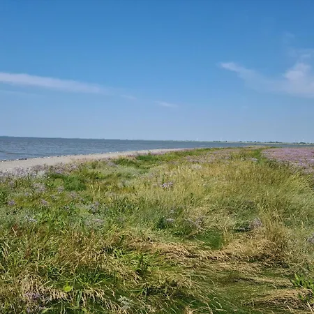 Haus Pudelwohl - Hundefreundliches An Der Nordseekueste Hébergement de vacances Sehestedt (Lower-Saxony)