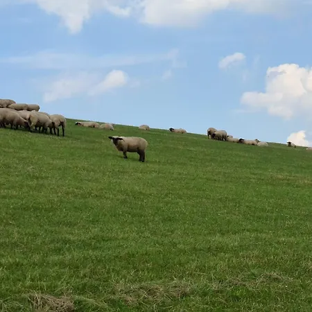 Haus Pudelwohl - Hundefreundliches An Der Nordseekueste Hébergement de vacances Sehestedt (Lower-Saxony)
