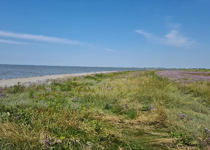 Haus Pudelwohl - Hundefreundliches An Der Nordseekueste Hébergement de vacances Sehestedt (Lower-Saxony)