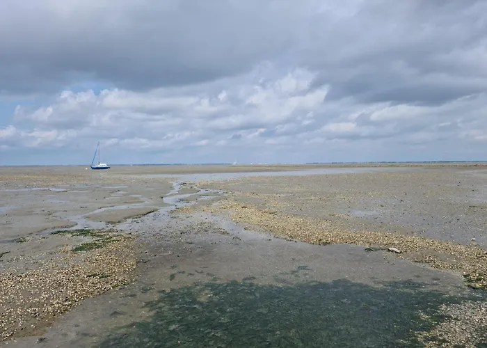 Haus Pudelwohl - Hundefreundliches An Der Nordseekueste *