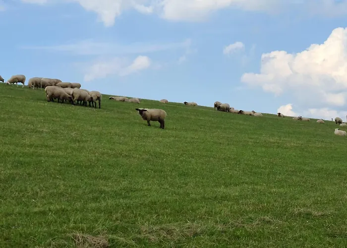 Haus Pudelwohl - Hundefreundliches An Der Nordseekueste Hébergement de vacances Sehestedt (Lower-Saxony)